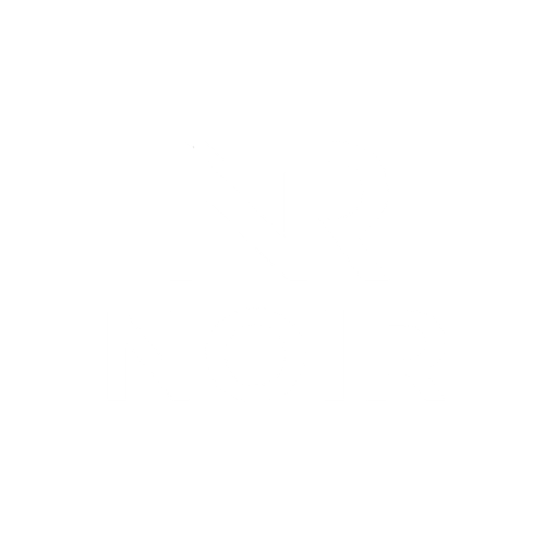 NOIR logo